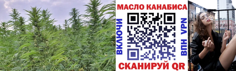 Купить где  Электроугли  ТГК гашишное масло 